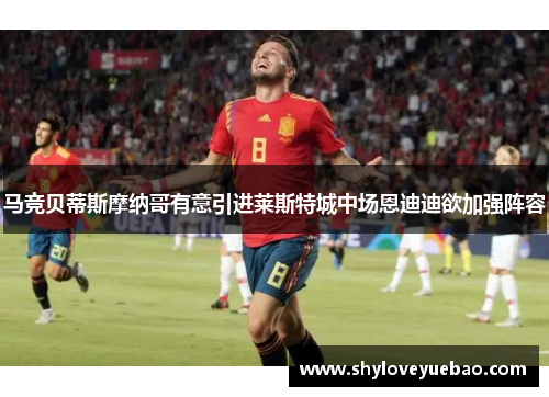马竞贝蒂斯摩纳哥有意引进莱斯特城中场恩迪迪欲加强阵容